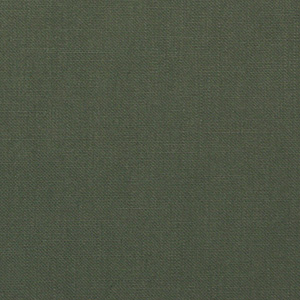 Sulpha Dyed Oxford 9oz