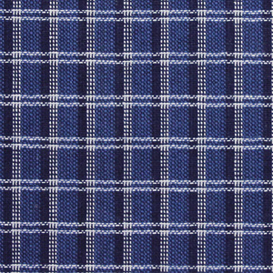 Indigo Yarn Dyed Plaid